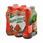 Beypazari Mineralwasser Karpuz Cilek Export 24x200ml